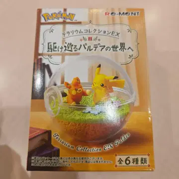 파모 & 피카츄 포켓몬 테라리움 컬렉션 EX 질주하는 팔데아의 세계로