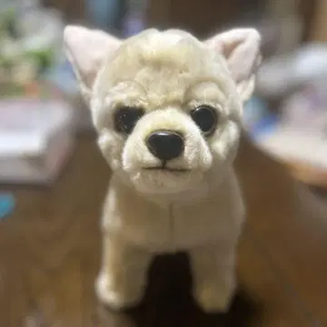 치와와 봉제 인형 크림색