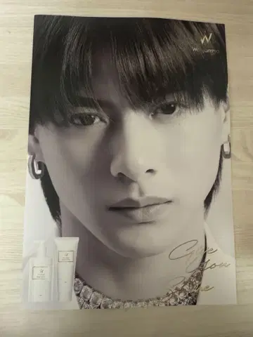 히라노 쇼 원정요 헤어 리플렛