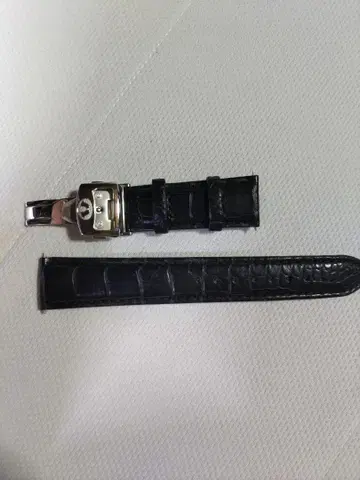 CITIZEN 캄파놀라용 벨트 20mm