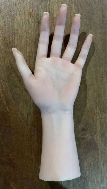 핸드 모델 실리콘제 손 모형