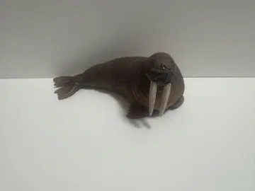 슐라이히 세이우치 모형