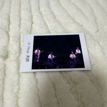 Sir Vanity 폴라로이드풍 카드
