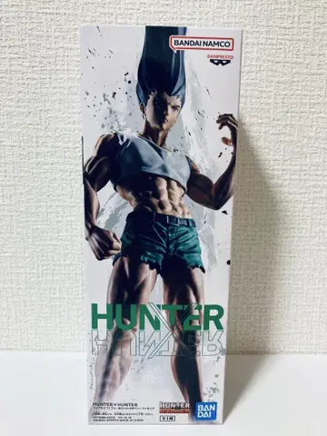 헌터 헌터 피그 라이프 곤 모든 펜 피규어