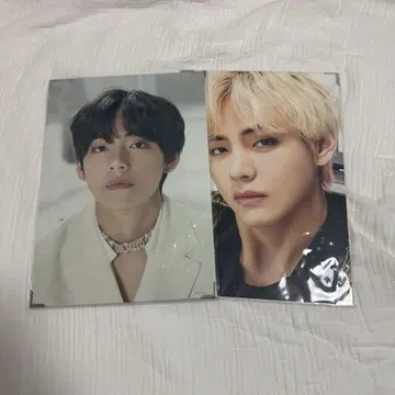 BTS V 테테 프리미엄 사진