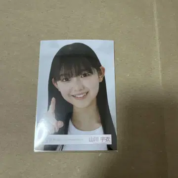 사쿠라자카46 야마카와 우이 First showcase 로고 티셔츠 요리