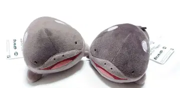 포켓몬 도오 봉제인형 묶음 판매