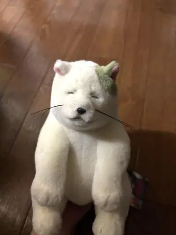 고양이의 보은 무타 씨 봉제인형