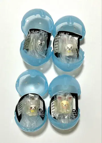 스키즈 메지루시 액세서리 울프짱 리 비트 지니 레트 폭시니