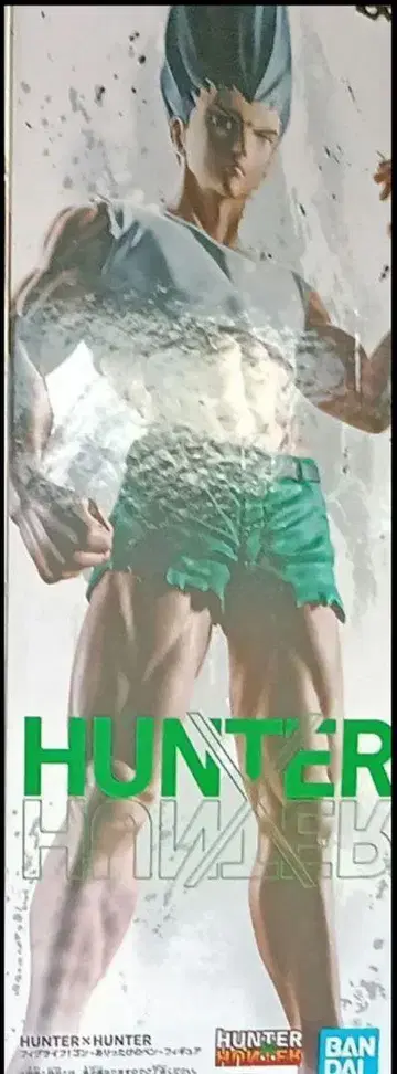 헌터x헌터 곤 피그 라이프 피규어