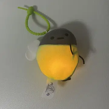 NCT 도영 반딧불이 little light 반딧불이