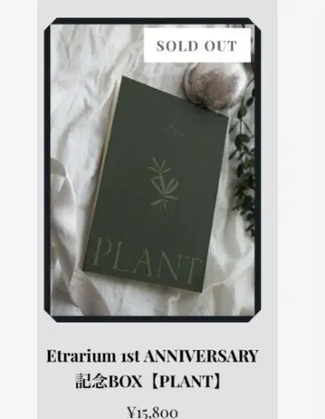 미야카와 다이세이 Etrarium 아트 북 폴라로이드 엽서