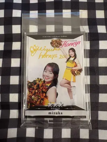 타카 복권 허니즈 mizuka 아크릴 스탠드