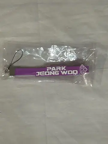 TREASURE 응원봉 스트랩 (PARK JEONG WOO)