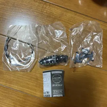 생물대도감 고마다라카미키리