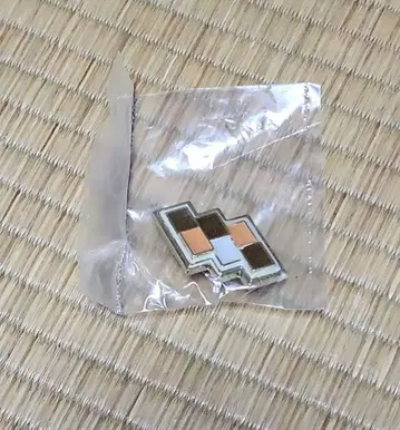 포켓몬 헬스장 배지 쇼요 시티 벽 배지
