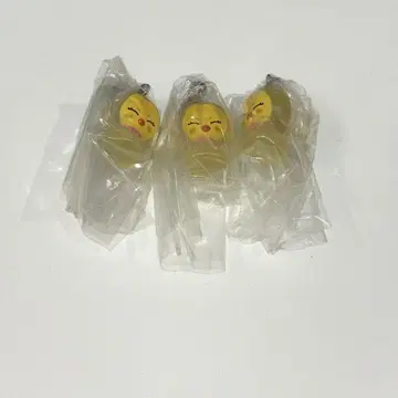 SKZOO 메지루시 액세서리 포가리