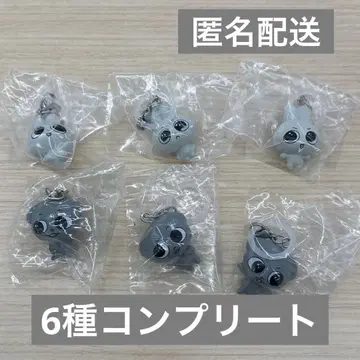 Kkamung&Angto 메지루시 액세서리 6종 컴플리트