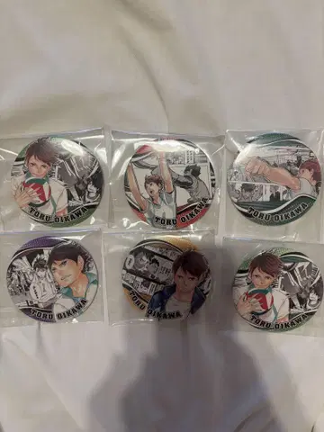 오이카와 토오루 캔 배치