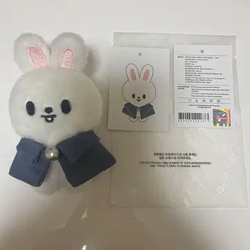 straykids leebit 봉제 인형 10cm