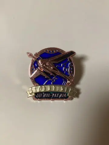 스톰 라이더 핀 배지