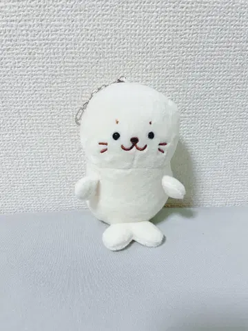 졸졸 따라오는 시로탄, 츠이탄 느긋하게