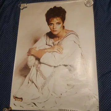 서양 POP 포스터 Sheena Easton