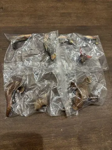 하시모토 미오의 울트라 괴수 조각 2종, 발탄 성인, 고모라
