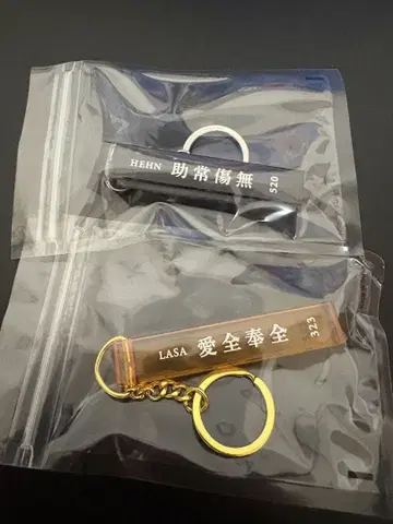 후지이 카제 키링