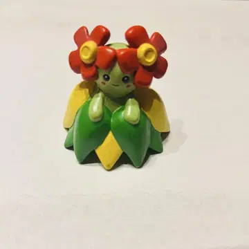 몬코레 깔끔한 꽃