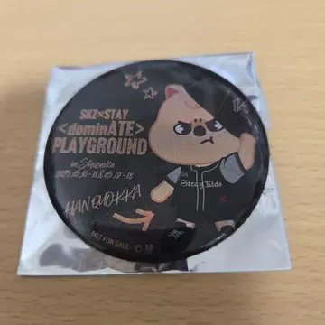 SKZ <dominate>PLAYGROUND 캔뱃지
