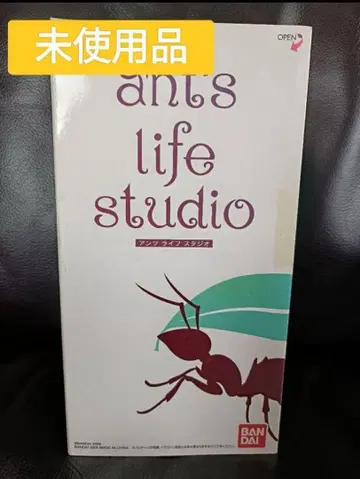 안츠 라이프 스튜디오 ant's life studio