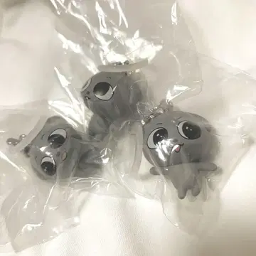 Kkamung&Angto 메지루시 액세서리