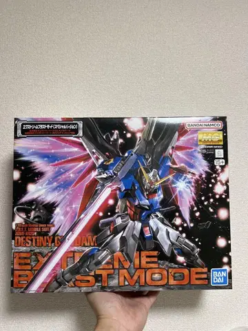 MG 1/100 데스티니 건담 익스트림 블라스트 모드