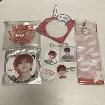 treasure wonderland 요시 세트