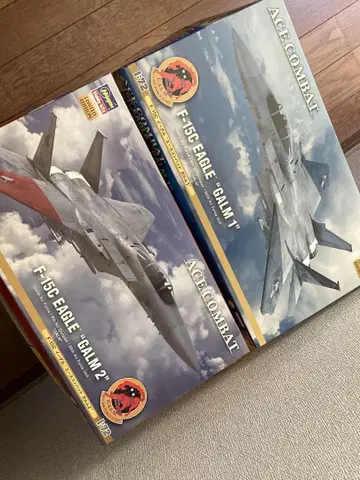 하세가와 ACE COMBAT F-15C 1/72 프라모델 2기 세트