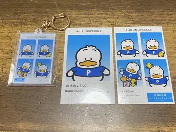 아히루노 펙클 증명사진풍 2종 세트