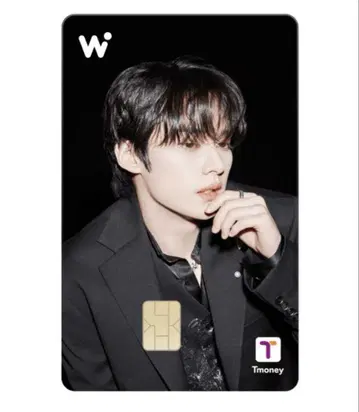 Stray Kids WOWPASS 와우패스 스키즈 공식 카드 리노