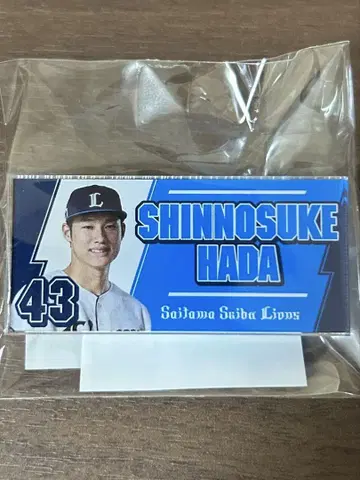 사이타마 세이부 라이온스 라이온스 가챠 아크릴 배지 하네다 신노스케