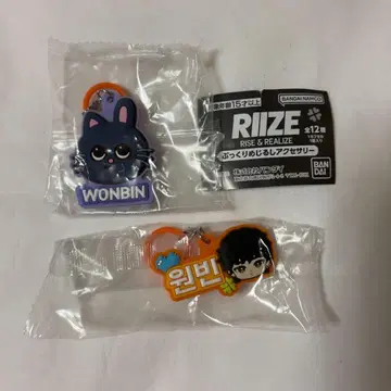 RIIZE WONBIN 원빈 토냥도크 메지루시 액세서리