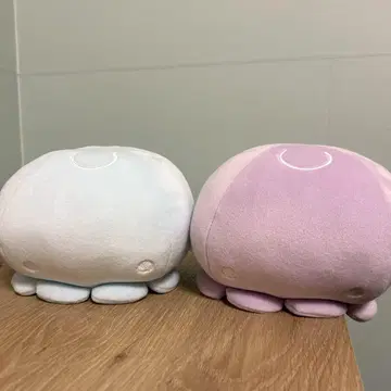 에노시마 수족관 봉제 인형 뽑기 3등 해파리