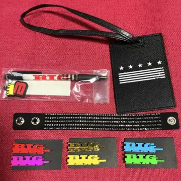 BIGBANG 굿즈 VIP 시트 혜택 팔찌 헤어핀 러기지 태그