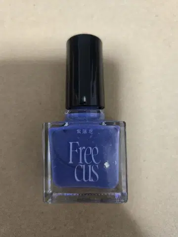 Freecus 네일 수국 초특급 타카시