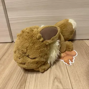 포켓몬 센터 봉제 인형 누워있는 이브이 모두 수고하셨습니다