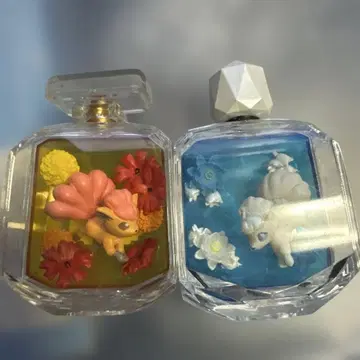 포켓몬스터 Petite Fleur 로콘 세트
