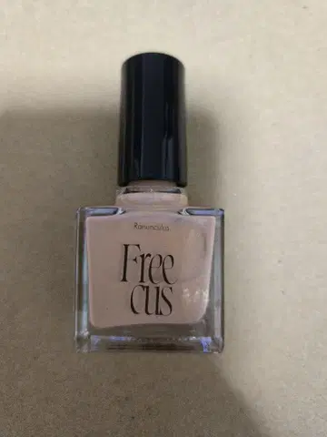 Freecus 네일 Ranunculus 초특급 타카시