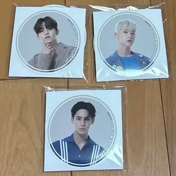 세부치 캔뱃지 에스크 호시 민규