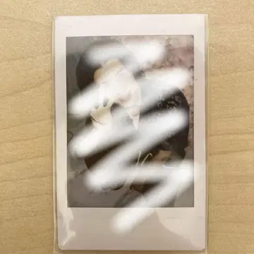 스탄미재팬 솔로 폴라로이드