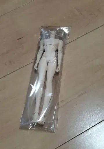 계동순식 시칠리아의 추억 바디돌 바디돌