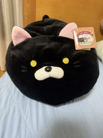 고로네코 서밋 쿠션 하라다